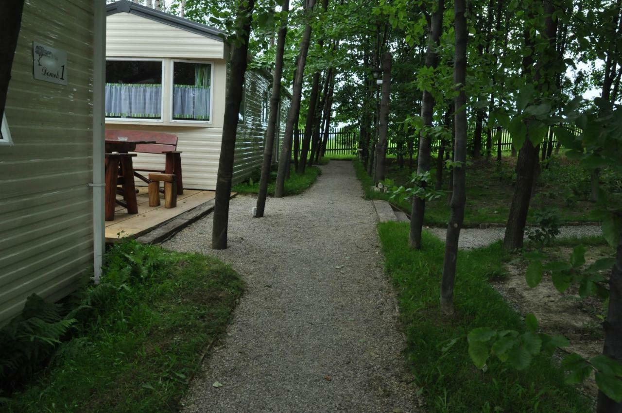 Agroturystyka Wichrowe Wzgorze Osiek  Exterior foto